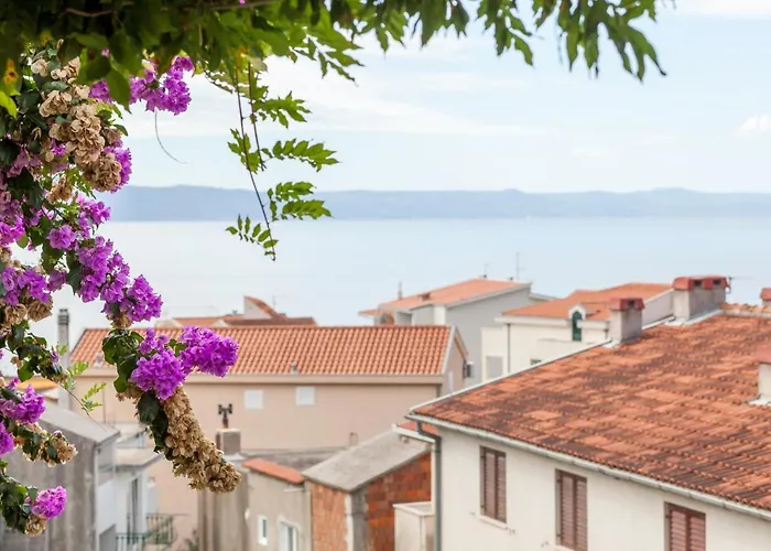Apartman Leut 80m From The Sea Podgora (Split-Dalmatia)